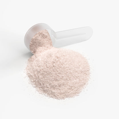Hydration Powder – Passion Fruit Electrolyte + B‑Vitamin Blend